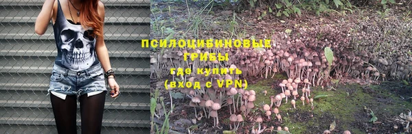 MDMA Premium VHQ Инта