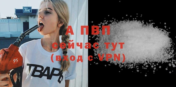 эйфоретик Каменка